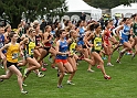 2010 NCAA West-011